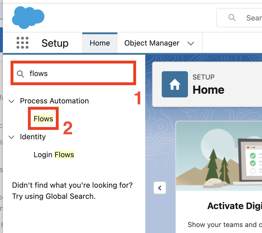 module6 quick find flows